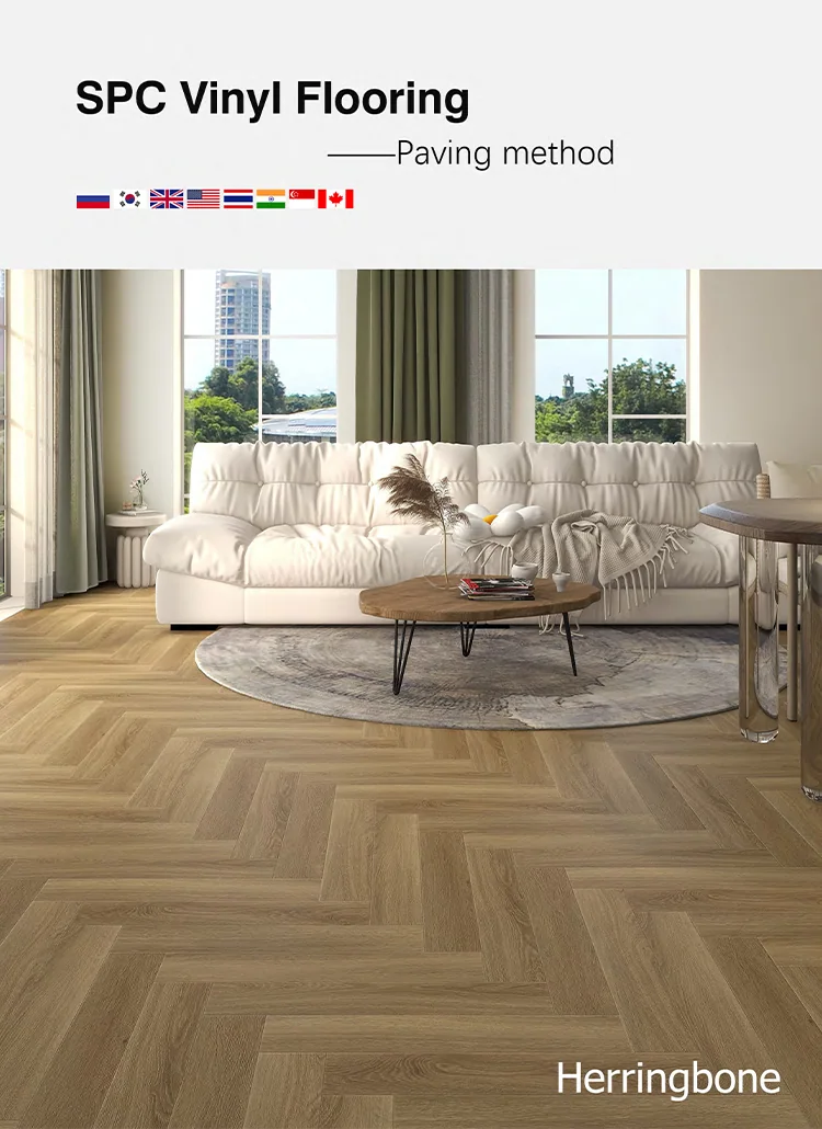 Architect Collection 4