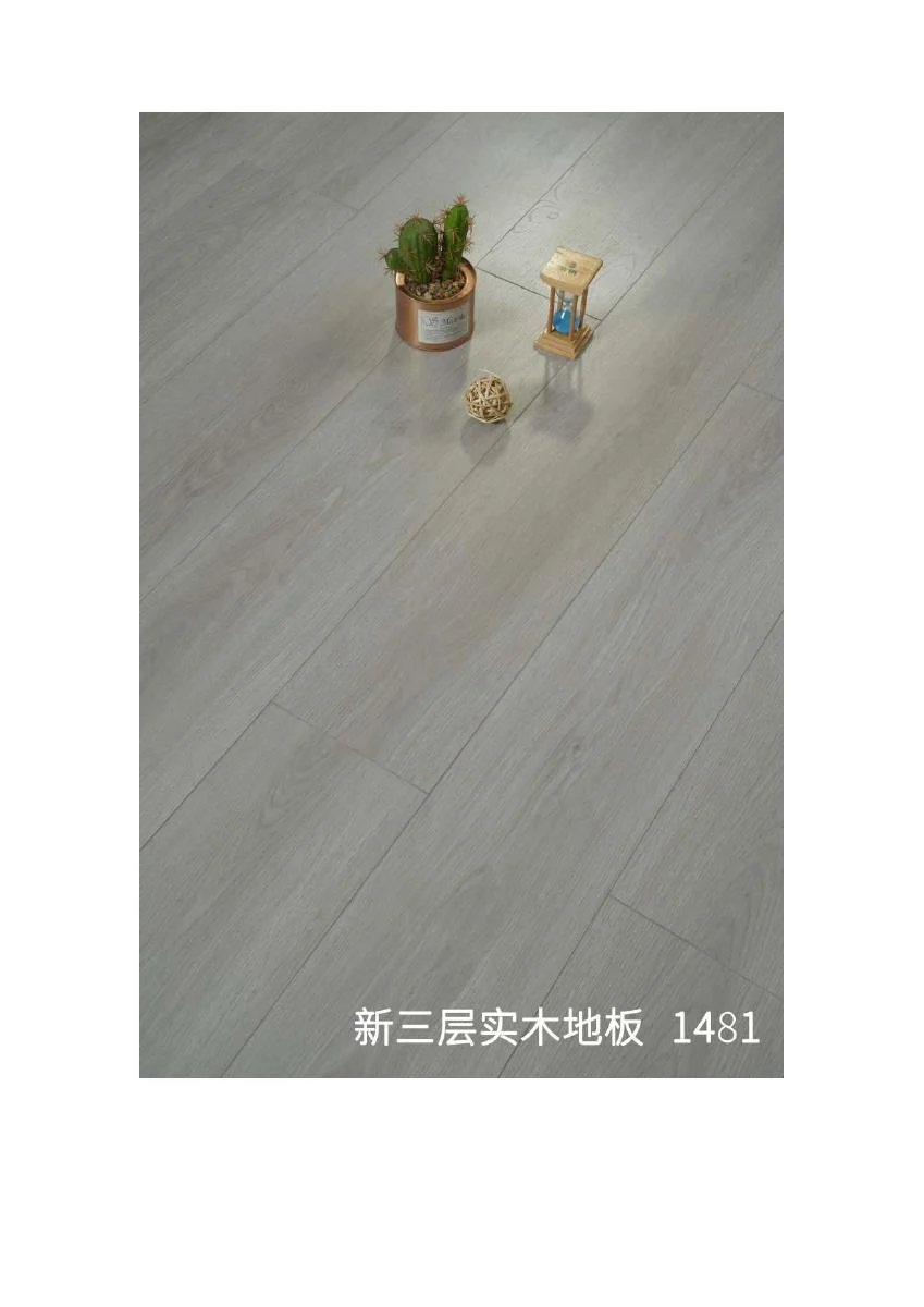整芯.pdf